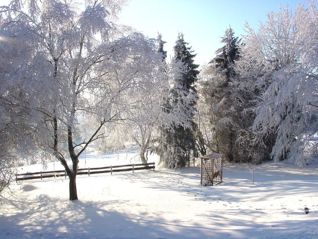 Fewo Holms Winterberg Ruang foto